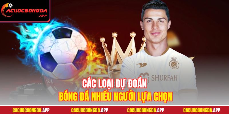 Các loại dự đoán bóng đá nhiều người lựa chọn