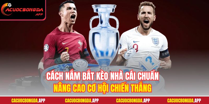 Cách nắm bắt kèo nhà cái chuẩn, nâng cao cơ hội chiến thắng